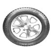 195/65R15 91H LASSA SNOWAYS 4 resmi